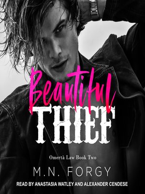 cover image of Beautiful Thief